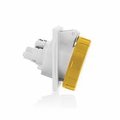 Leviton TIME SWITCH YL INTL PN&SL REC 2P3W 16A 100-130V W216-R4